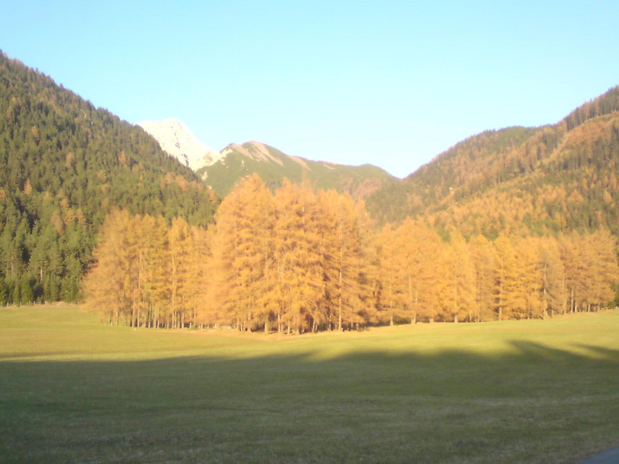 Gastehaus Fitsch Farm stay Obsteig